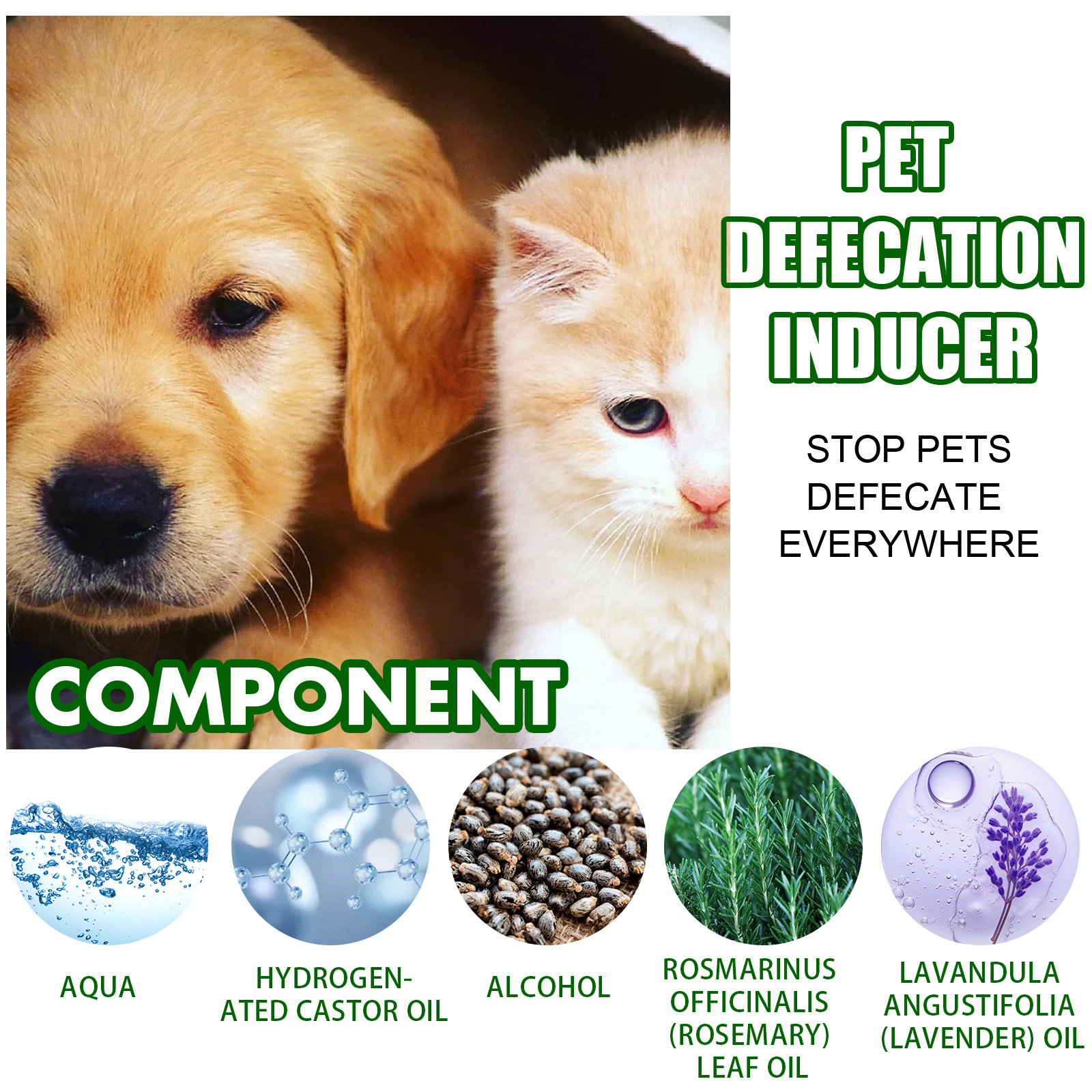 Yegbong Pet Positioning Toilet Inducer Pet Toilet Positioning Toilet Trainer - Image 6