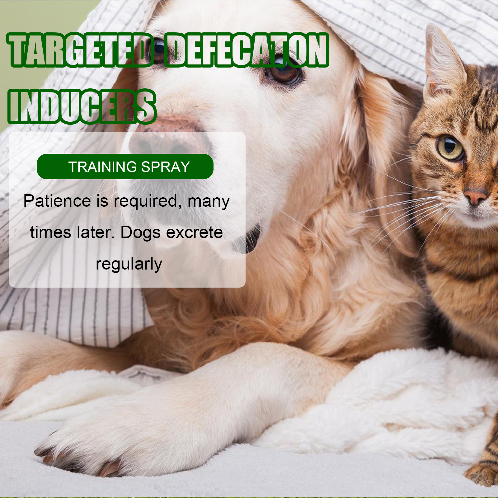 Yegbong Pet Positioning Toilet Inducer Pet Toilet Positioning Toilet Trainer - Image 2